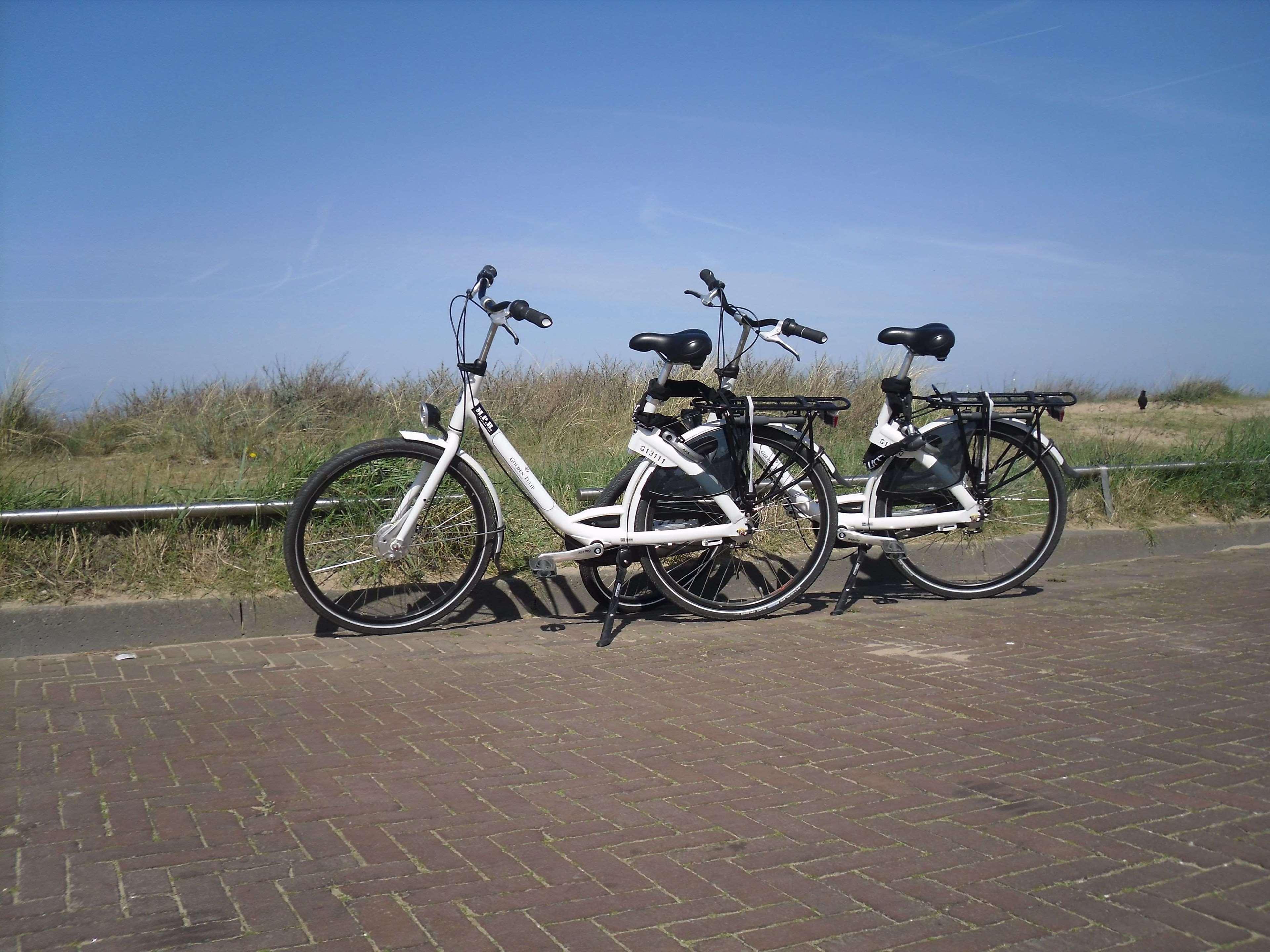 Two Brothers Noordwijk Beach Exteriér fotografie